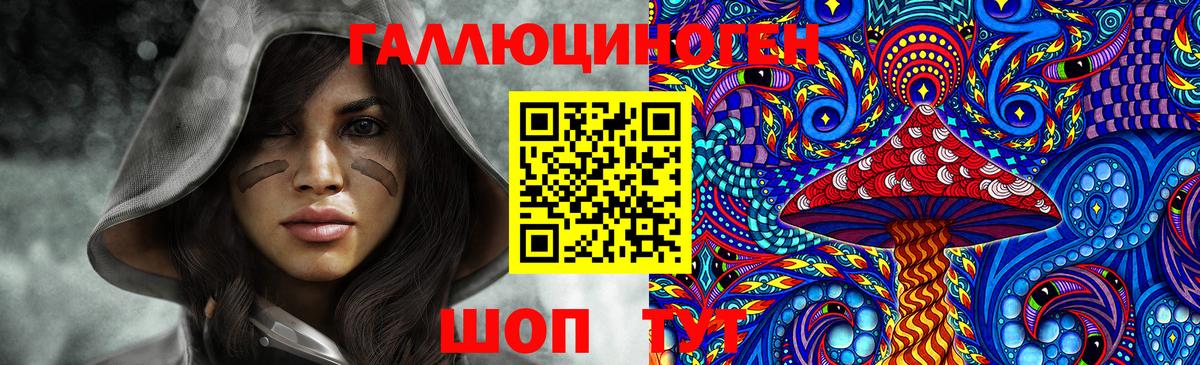 Псилоцибиновые грибы Psilocybine cubensis Урус-Мартан