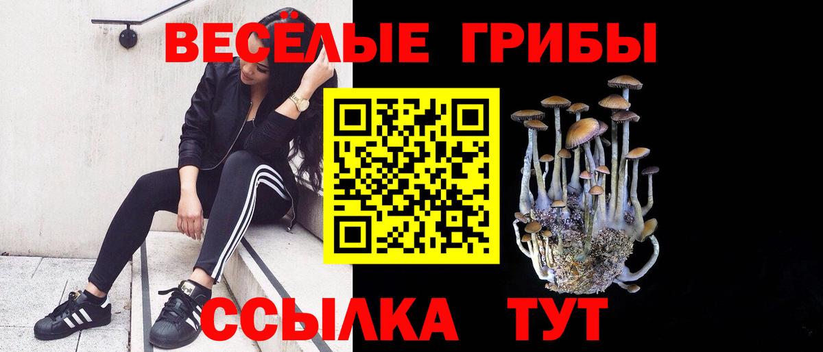 Урус-Мартан  Псилоцибиновые грибы прущие грибы  Вход с VPN  Галлюциногенные грибы мицелий 
